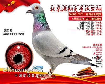 克劳沃决赛318名