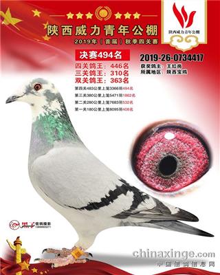 凡比克克拉克詹森