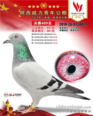 伯格曼兄弟克拉克