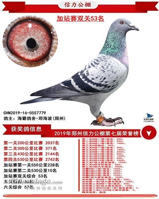 奖车GL8之弟（己拍卖）