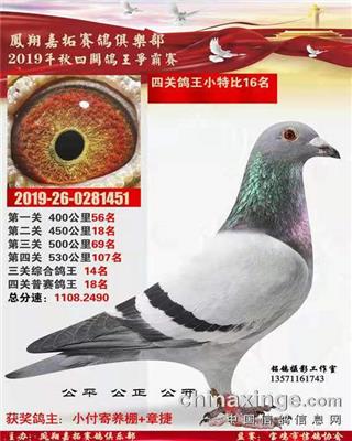 陕西嘉拓四关综合16位