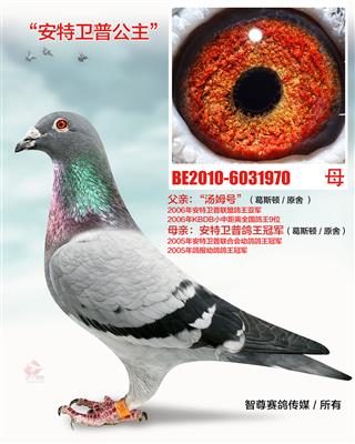 雅典（ULYSSE NARDIN）