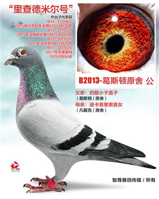 奶酪“里查德米尔号”