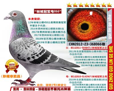 “林城冠军号”