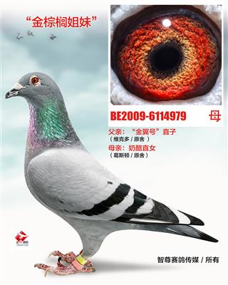 金棕榈姐妹（非卖品）