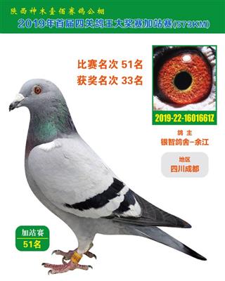 奶酪配杨欧瓦克/利奥