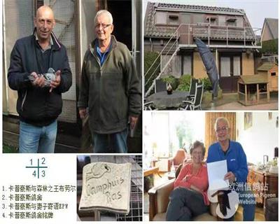 	荷兰著名赛鸽家、育种家 贝蒂尔.卡普豪