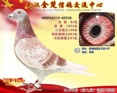 2019年湖北金楚公棚決賽82名