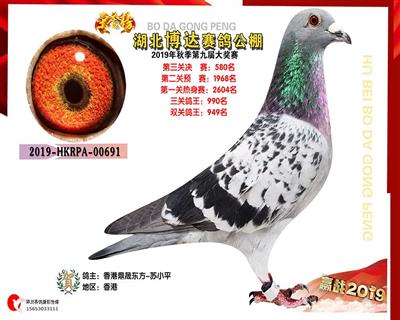 2019年湖北博达公棚決賽580名