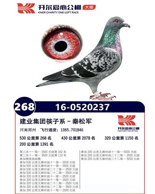 开尔爱心公棚268名