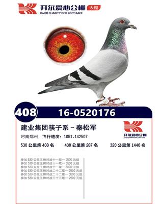 开尔爱心公棚408名