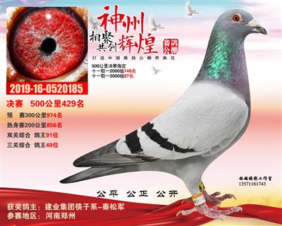 神州辉煌公棚决赛429名