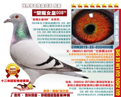 四关特比环总冠军