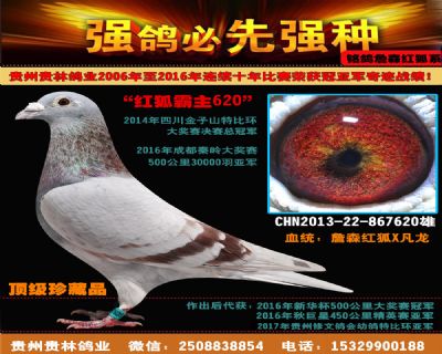 四关特比环冠军父亲