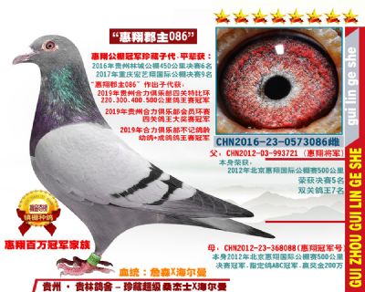 四关特比环冠军母亲