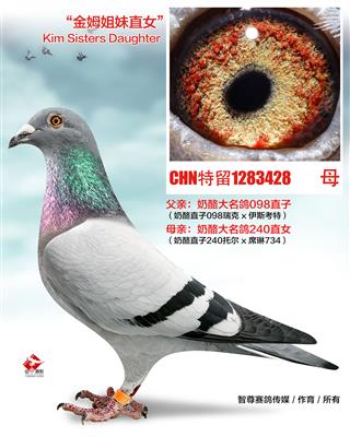 240外孙女098直孙女