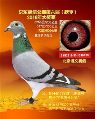 再现“夏奇拉”