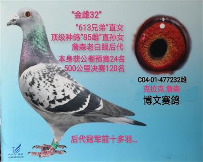 金雌32