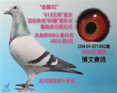 金雌52