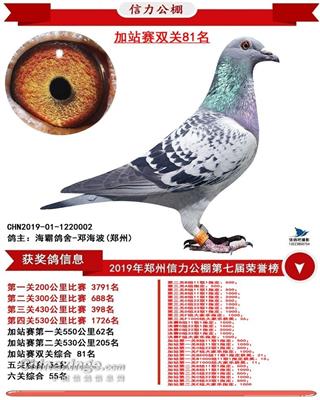 汽车🚘同窝（己拍卖）