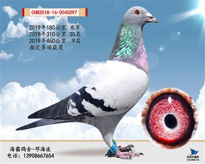 18年9名（己售郑州）