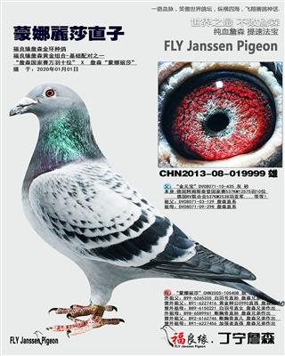 詹森蒙娜丽莎直子