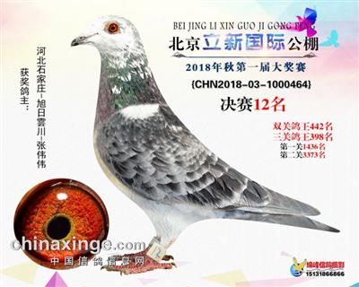 立新公棚决赛12名