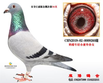 江盛源36名 年轻小蜜外孙女