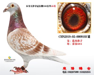 夺冠580公里46名 范内