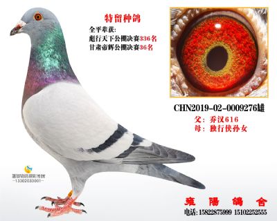 夏拉肯西北专线直子