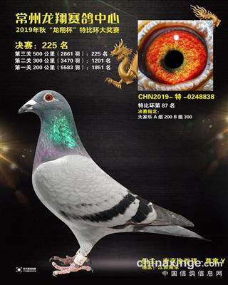 19年秋江苏龙翔公棚决赛225名