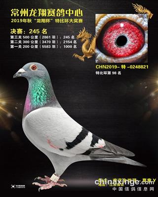 19年秋江苏龙翔公棚决赛245名