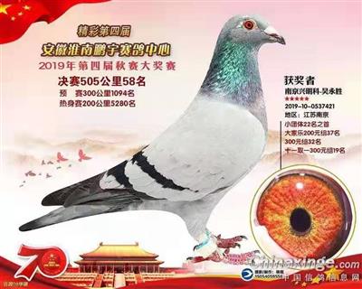 19年秋安徽鹏宇58名