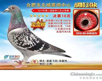 19年秋安徽北城18名