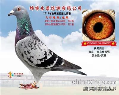 19年秋安徽永固297名