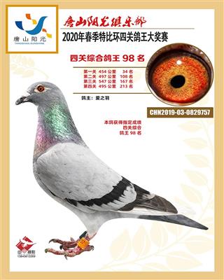 2020年春阳光四关特比成绩鸽