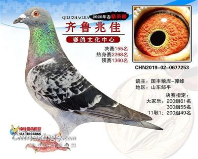 2020年山东齐鲁兆佳精英棚决赛155名