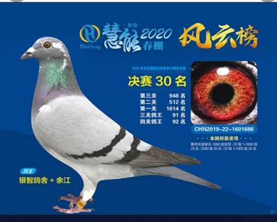 威力30名：杨欧瓦克