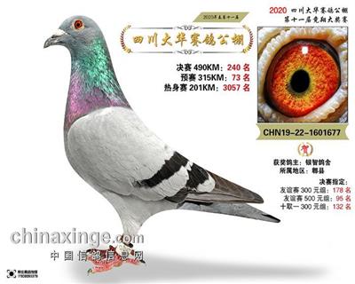 杨欧瓦克/芬妮卡