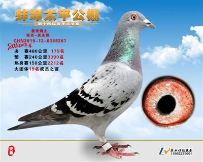 20年春太平公棚决赛175名