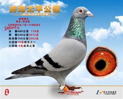 20年春太平公棚决赛178名