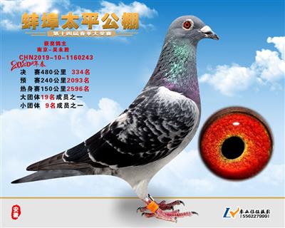 20年春太平公棚决赛334名