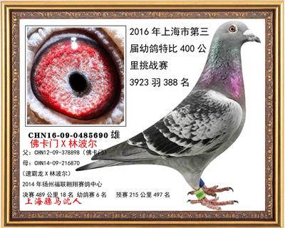 骠马5690