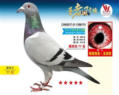 威力37名，仅供欣赏