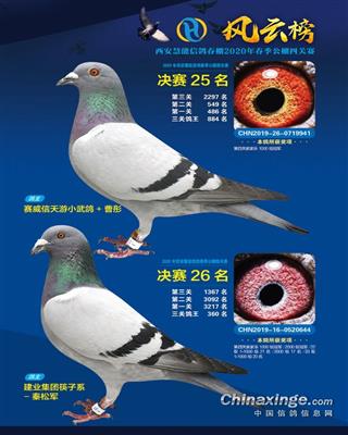 西安威力慧能公棚决赛26名