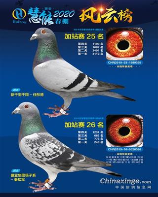 西安威力慧能公棚加战赛26名