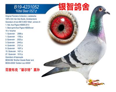 范登布克，仅供欣赏