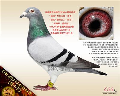 【狂小子】“金钻*极品夫人”外孙！