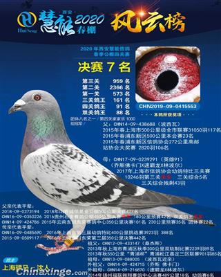 骠马5553