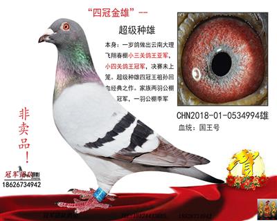 “国王号”四冠金雄（第一种雄）